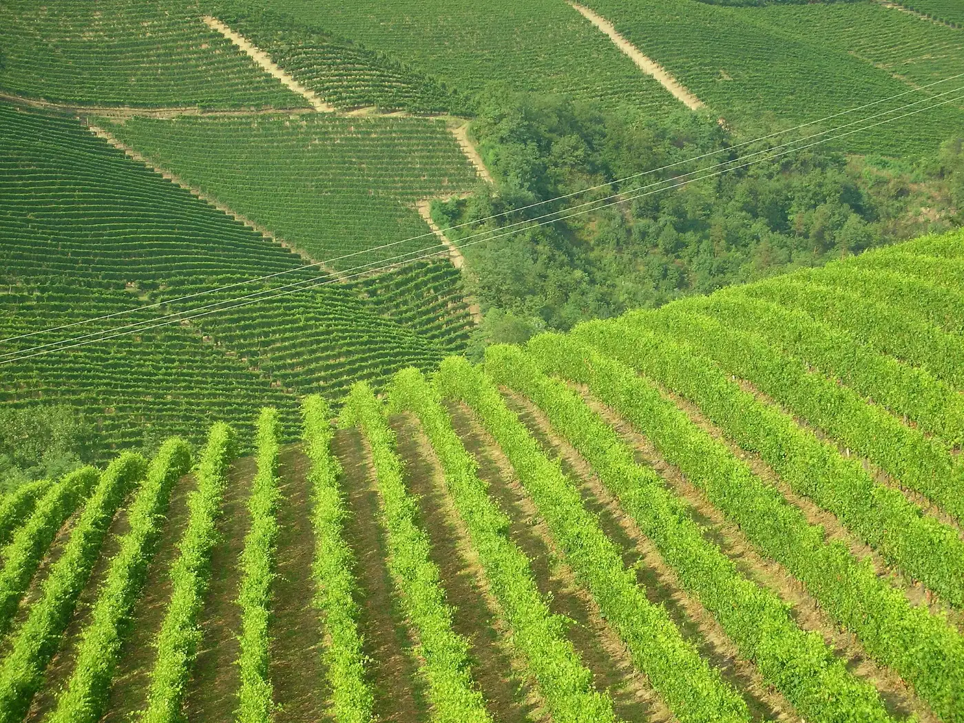 Piëmont